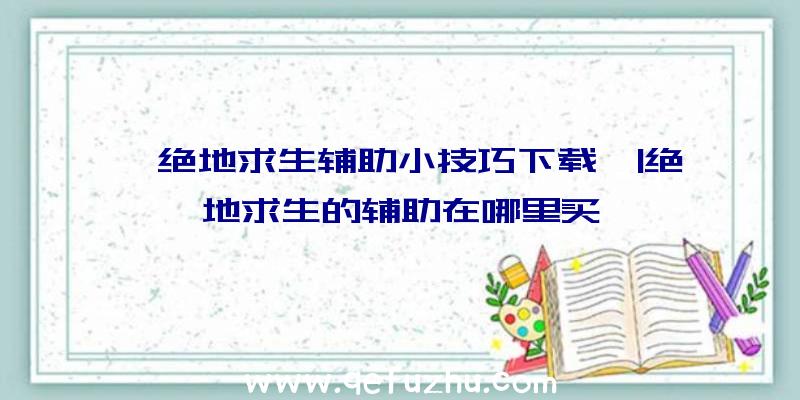 「绝地求生辅助小技巧下载」|绝地求生的辅助在哪里买